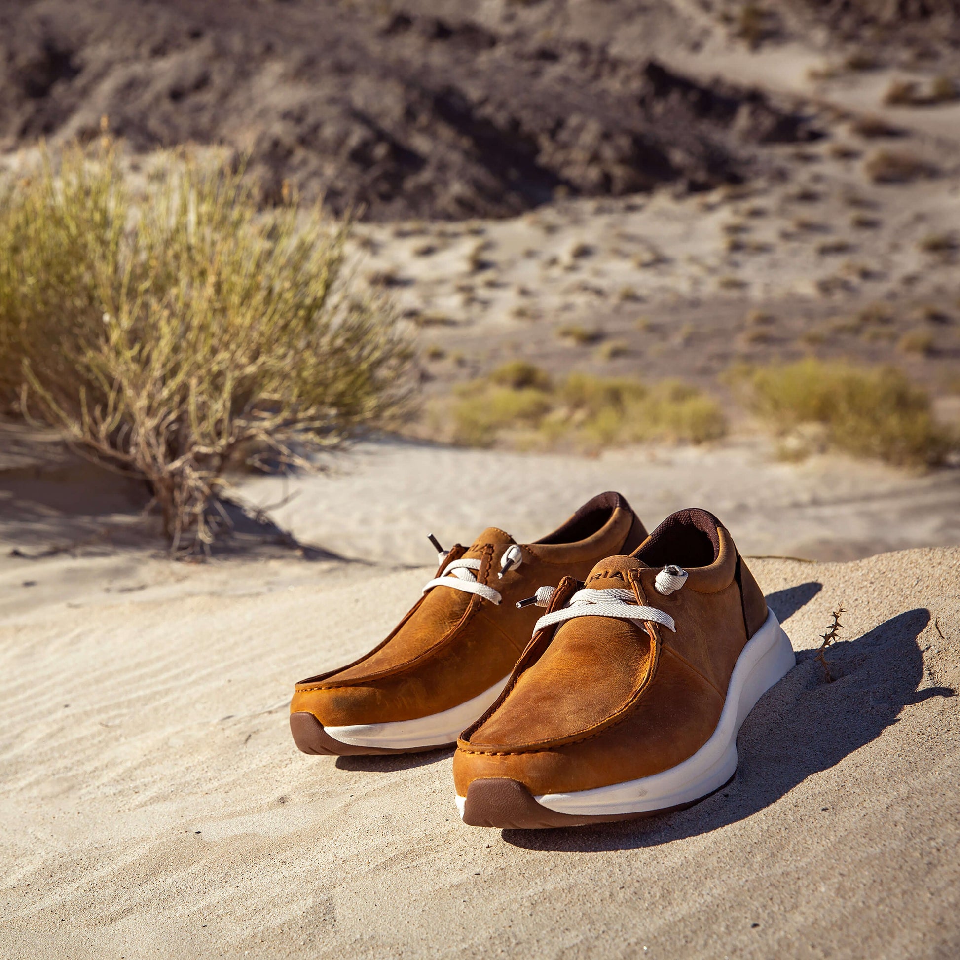 Buckeye Waterproof Shoe